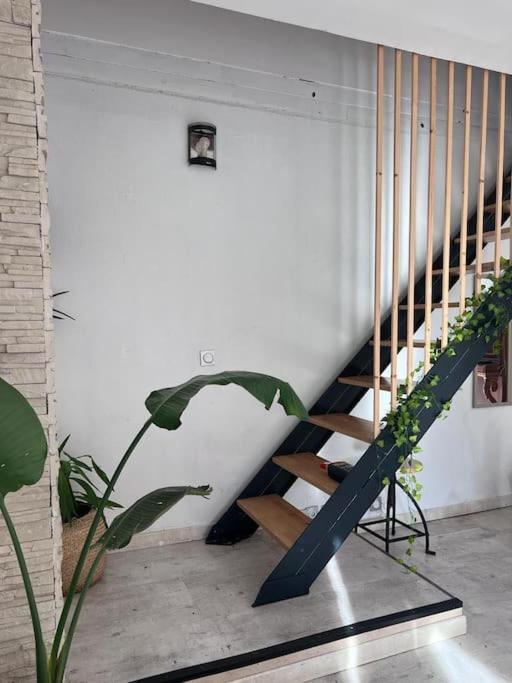 Maison Type 4 Et Jardin Spacieux Signes Ngoại thất bức ảnh
